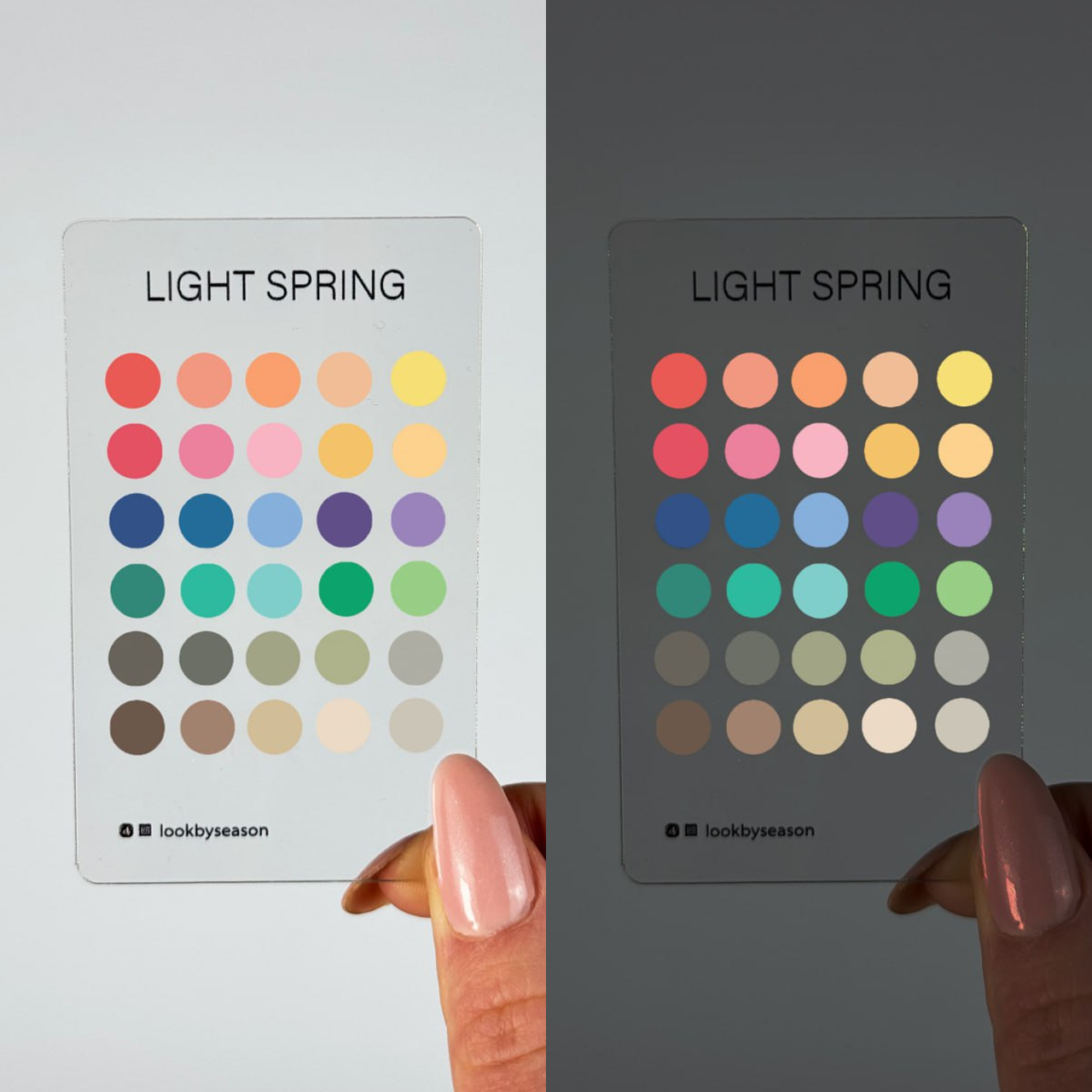 Color Season Swatch Card