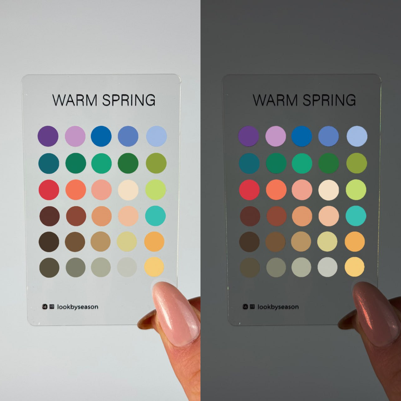 Color Season Swatch Card