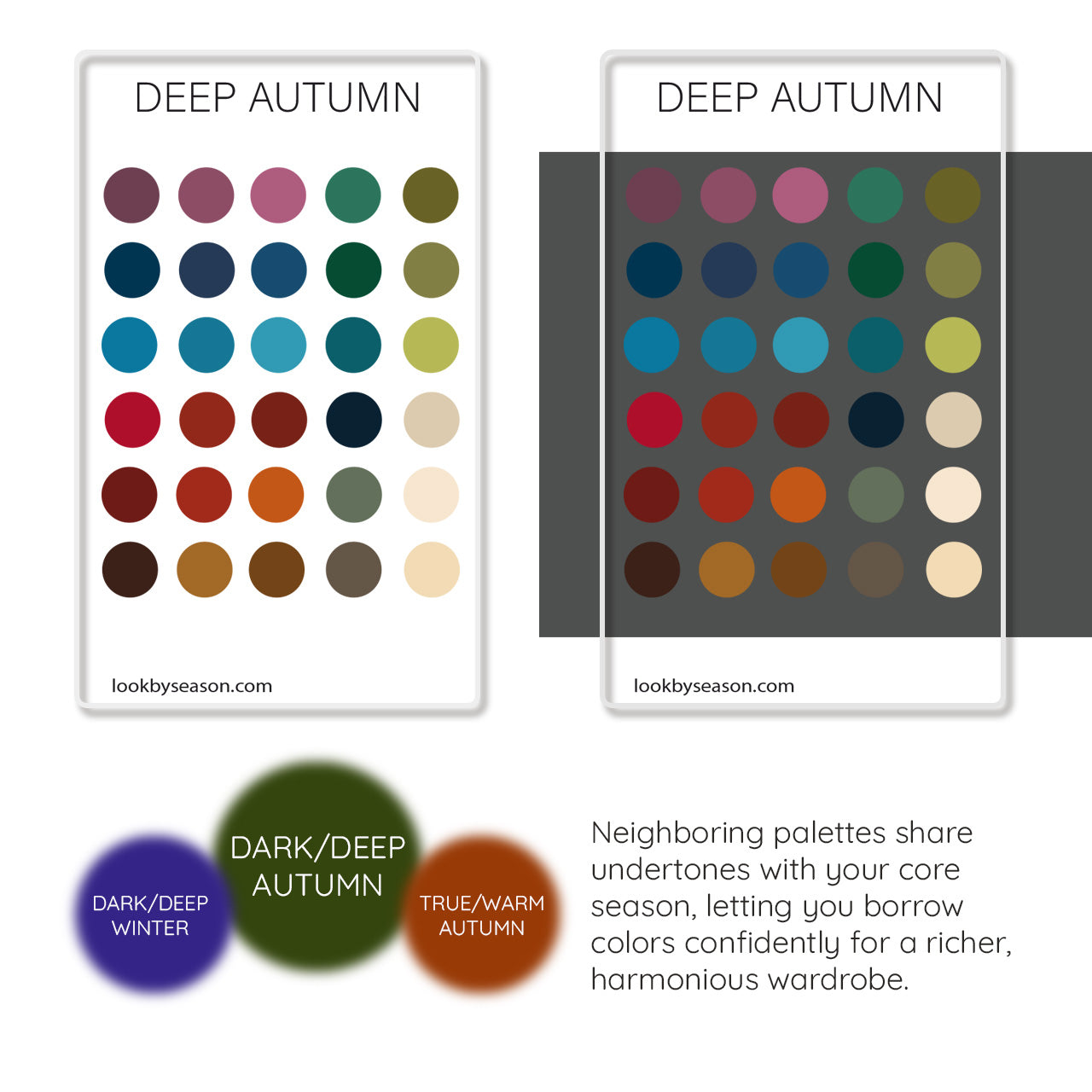 Color DNA Card - Your Cheat Sheet To Instant Glow