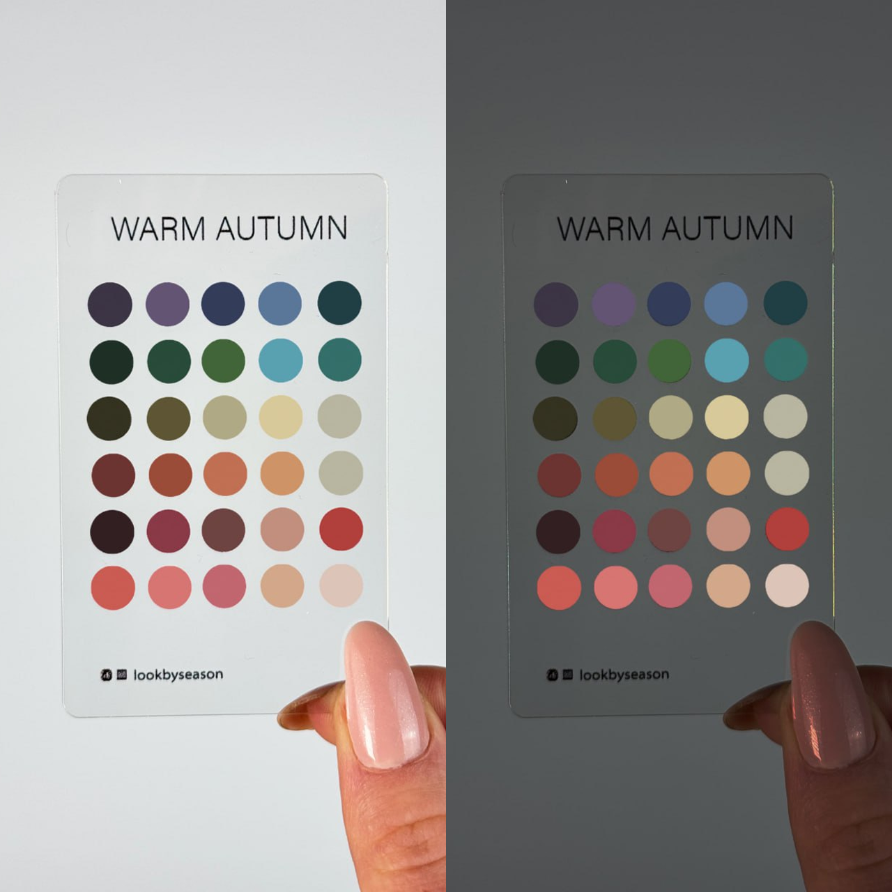 Color Season Swatch Card