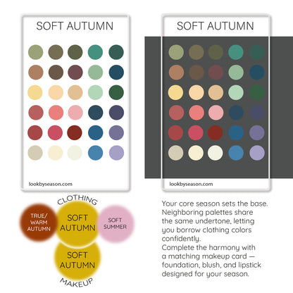 Color DNA Card - Your Cheat Sheet To Instant Glow