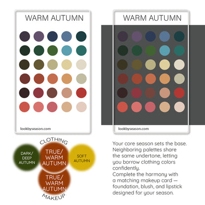 Color DNA Card - Your Cheat Sheet To Instant Glow