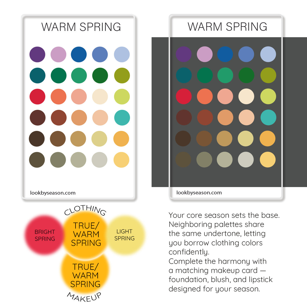 Color DNA Card - Your Cheat Sheet To Instant Glow