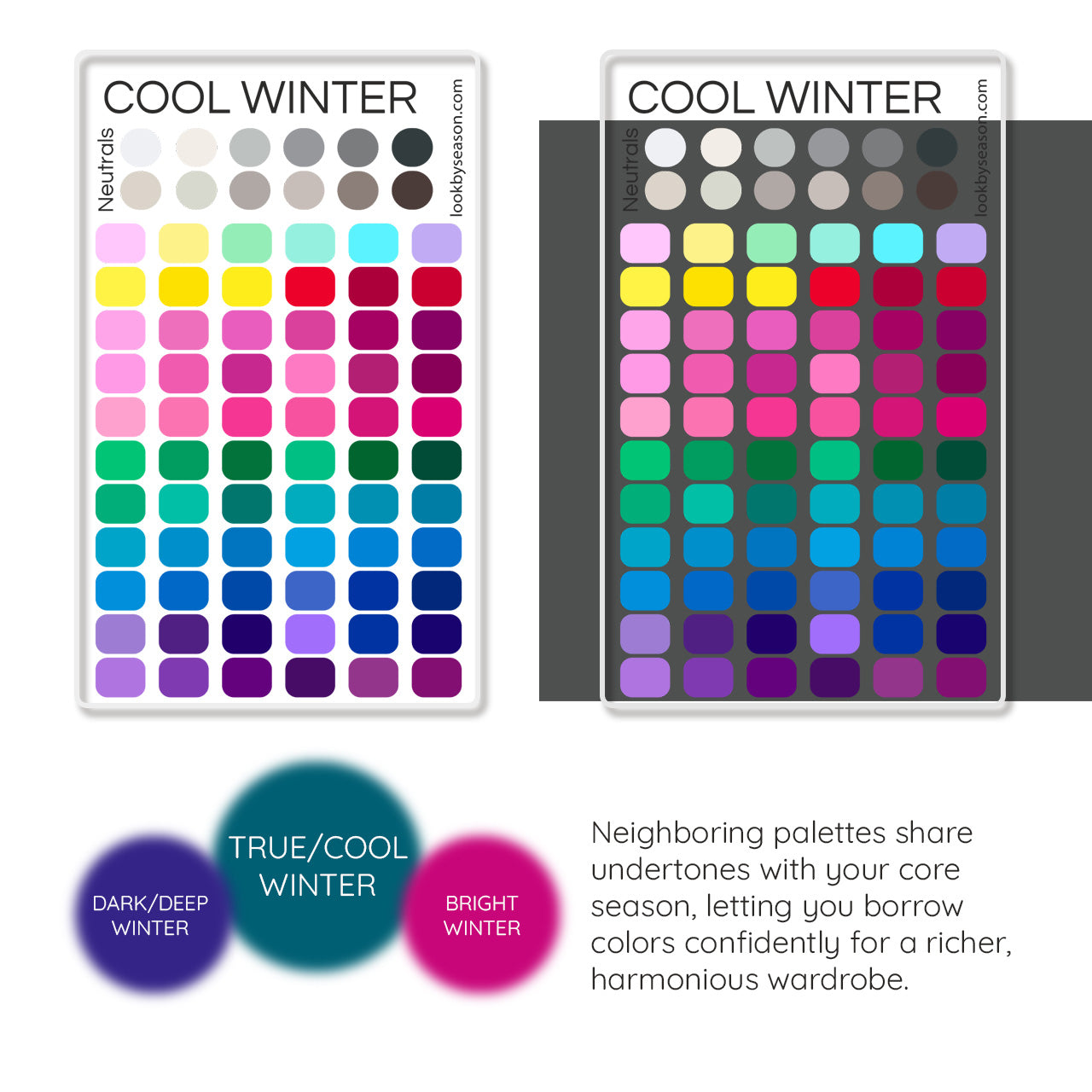 Color DNA Card - Your Cheat Sheet To Instant Glow