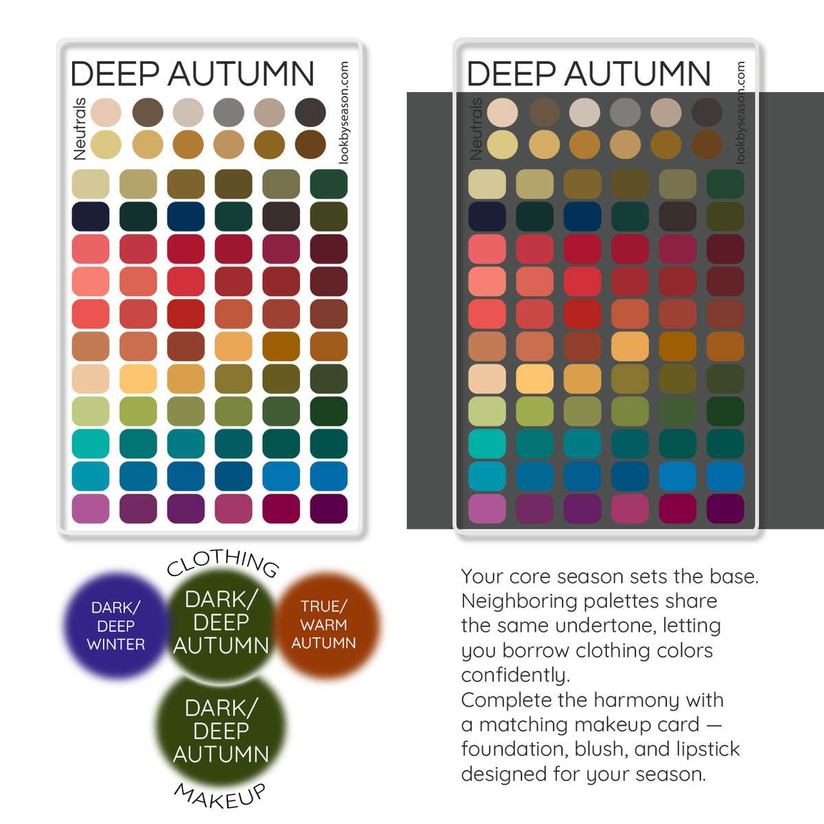 Color DNA Card - Your Cheat Sheet To Instant Glow