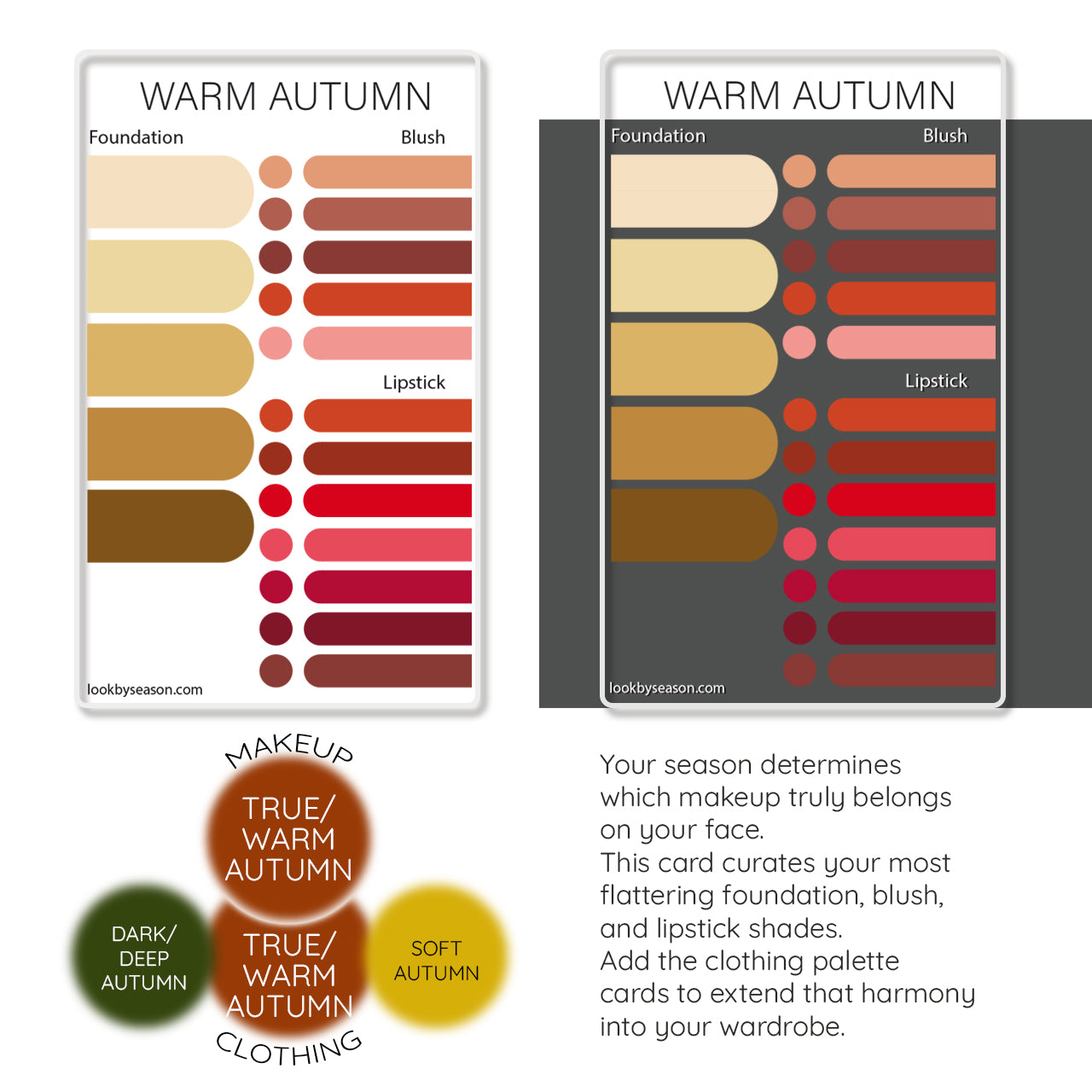 Color DNA Card - Your Cheat Sheet To Instant Glow